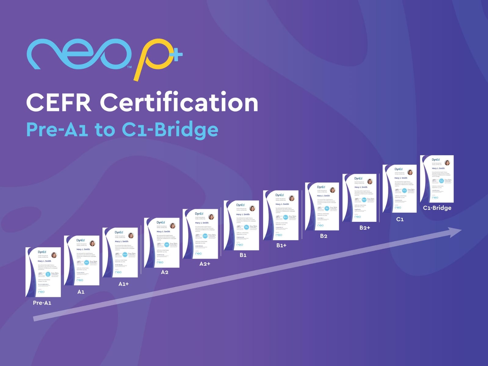 certification 2